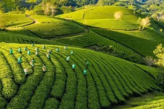 Иллюстративное изображение (Фото: ВИА)