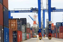 Вьетнам и ОАЭ стремятся к двустороннему товарообороту в размере 10 миллиардов долларов США. (Фото: ВИА)