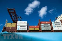  Многие компании, занимающиеся контейнерными перевозками, приостановили маршруты в Россию. (Иллюстративное фото: AFP/ ВИА)