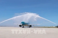 Рейс VN692 Vietnam Airlines встретили в международном аэропорту Камрань (Фото: ВИА)