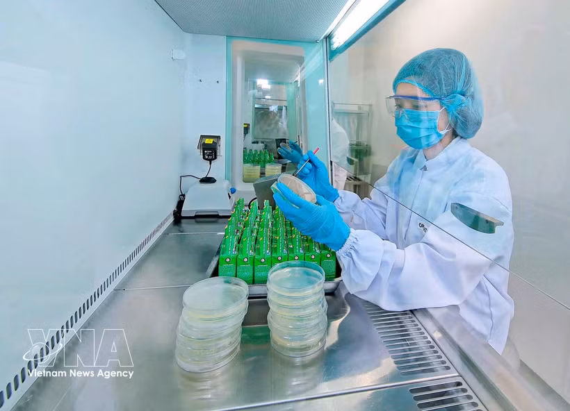 На заводе Nestlé Bông Sen в провинции Хынгйен применяются цифровые технологии в зелёном производстве. Фото: ВИА.