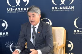 Бывший посол Брайан Макфитерс, председатель и генеральный директор Совета по бизнесу США–АСЕАН (USABC). Фото: ВИА.