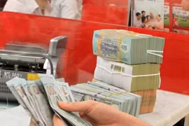 Доходы государственного бюджета за первое полугодие достигли 62% годового плана благодаря значительному росту внутренних поступлений, доходов от добычи сырой нефти и внешнеторговой деятельности, при сохранении строгого контроля за расходами бюджета. Фото: Vietnam+.