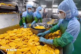 Переработка сельскохозяйственной продукции на экспорт. Фото: ВИА.