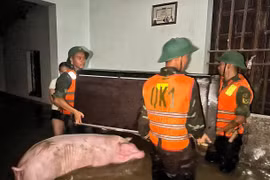 Офицеры и военнослужащие 2-го полка 3-й дивизии, дислоцированной в этом районе, вместе с жителями оказывают помощь населению. Фото: ВИА.