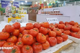 Продукция на 22-й Вьетнамской ярмарке ремесленных деревень 2026 года. Фото: Vietnam+.