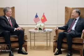 Генеральный секретарь, Президент государства То Лам принимает сенатора США Стива Дейнса. Фото: ВИА