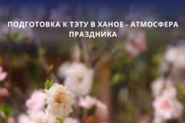 В последние дни года жители Ханоя устремляются на улицы Ханглыок и Хангма, чтобы выбрать для своей семьи самые красивые деревца кумквата, ветви персика и праздничные украшения. Фото: ВИА.