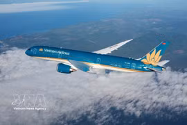 Самолёт авиакомпании Vietnam Airlines, выполняющий рейс в Европу. Иллюстративное фото: ВИА.