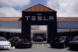 Один из автосалонов Tesla. (Фото: ВИА)