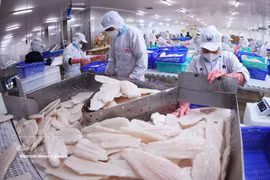 Филе пангасиуса — один из экспортных продуктов Вьетнама в Канаду. Иллюстративное фото: ВИА.