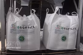 Партия риса Japonica, сертифицированного под маркой «Зелёный низкоэмиссионный вьетнамский рис», экспортируемая на японский рынок. Фото: ВИА.