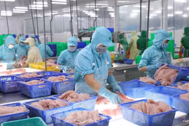 Экспорт морепродуктов продолжает демонстрировать устойчивый рост. (Фото: ВИА)