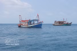 Благодаря обширным промысловым районам и богатым запасам водных биоресурсов, в Камау всегда сосредоточен многочисленный рыболовный флот. Фото: ВИА.