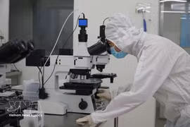Лаборатория полупроводниковых технологий Центра исследований и разработок Высокотехнологичного парка города Хошимина оснащена современным оборудованием. Фото: ВИА