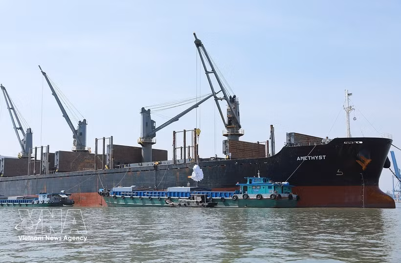 Погрузка, транспортировка и обработка товарного риса, предназначенного для экспорта, Южной продовольственной корпорацией (Фото: ВИА) 