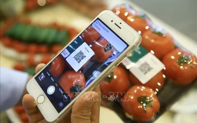 Цифровизация в отслеживаемости сельскохозяйственной продукции и продуктов питания. ảnh 1