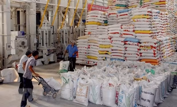 Вьетнамская сельскохозяйственная продукция пользуется популярностью в Китае ảnh 1