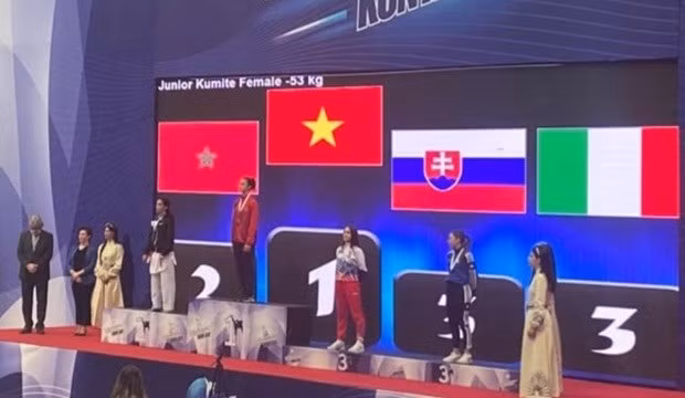 Вьетнамские спортсменки завоевали золотые медали на чемпионате мира по боевым искусствам ảnh 1
