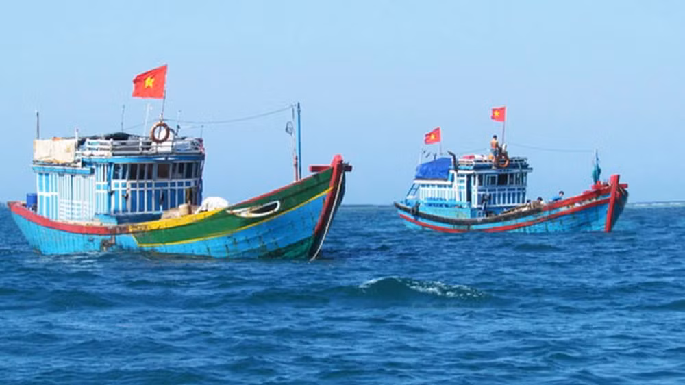 Вьетнамские моря и острова: строго наказать рыболовные суды и рыбаков, незаконно ловящими рыбу в иностранных водах ảnh 1 Вьетнамские моря и острова: строго наказать рыболовные суды и рыбаков, незаконно ловящими рыбу в иностранных водах ảnh 1
