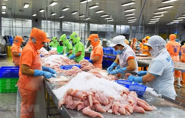 Экспорт морепродуктов достигнет рекордных 11 млрд. долл. США в 2022 году, но впереди вызовы ảnh 1