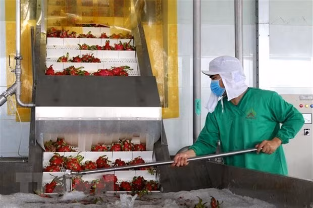 Необходимо качество для стимулирования экспорта сельхоз и водной продукции ảnh 1