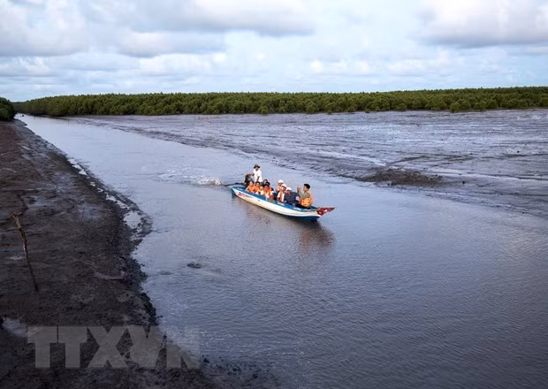 Мангровые леса в самой южной провинции Вьетнама ảnh 3