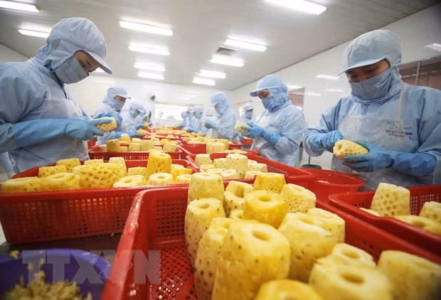 Вьетнамские фирмы стремятся продвигать экспорт сельхозпродукции в Россию и ЕАЭС ảnh 1