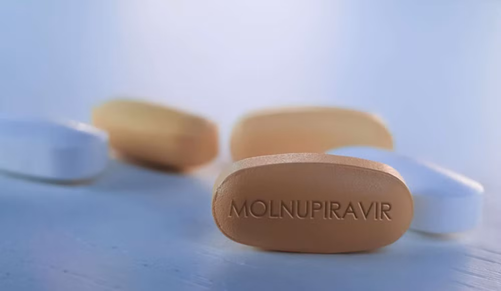 Вьетнам может производить молнупиравир для лечения COVID-19 ảnh 1