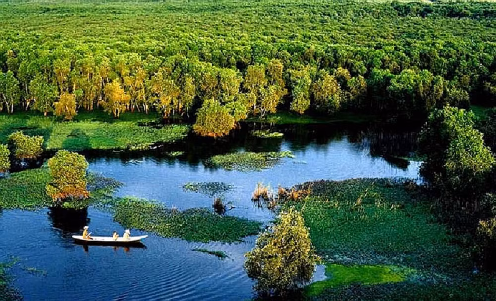 Сохранение и устойчивое использование водно-болотныхмангровых угодий ảnh 2