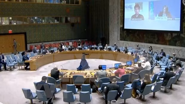 Вьетнам выполнил все задачи в СБ ООН ảnh 2