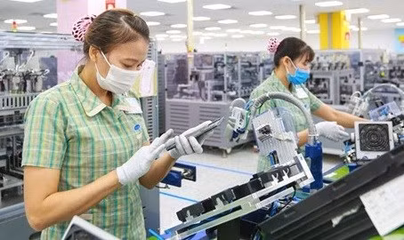 Вьетнам получает выгоду от EVFTA и CPTPP ảnh 1