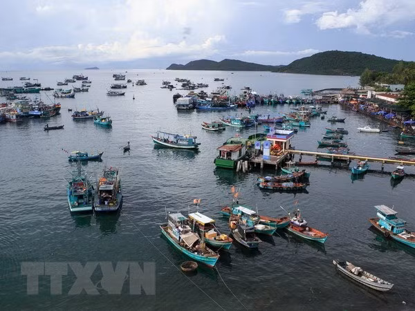 Новый указ способствует устойчивому развитию морской экономики ảnh 1