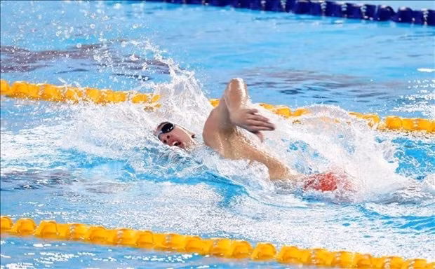 Вьетнамские пловцы готовятся к SEA Games 32 ảnh 1