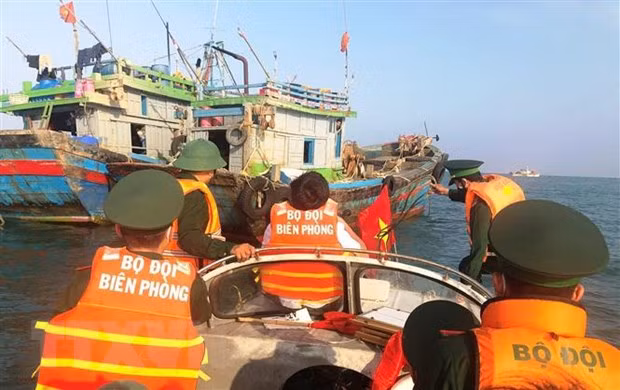 Предприятия по производству морепродуктов обязуются бороться с ННН-промыслом ảnh 2