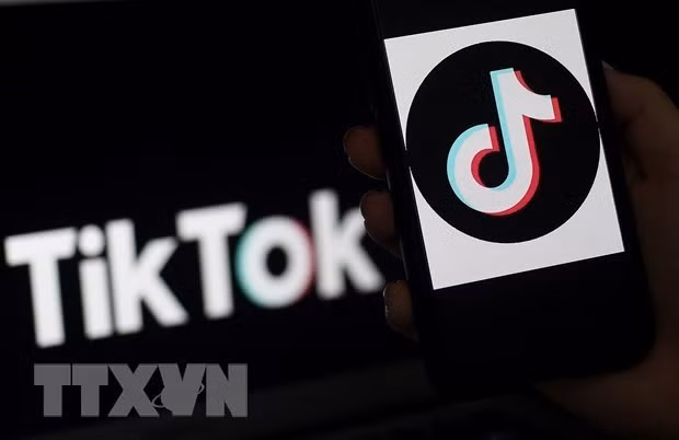 Вьетнам - одна из самых популярных стран в TikTok ảnh 2