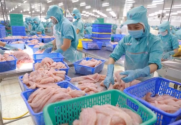 Экспорт водной продукции Вьетнама прогнозируется на уровне 8,4 млрд. долл. США ảnh 1 Экспорт водной продукции Вьетнама прогнозируется на уровне 8,4 млрд. долл. США ảnh 1