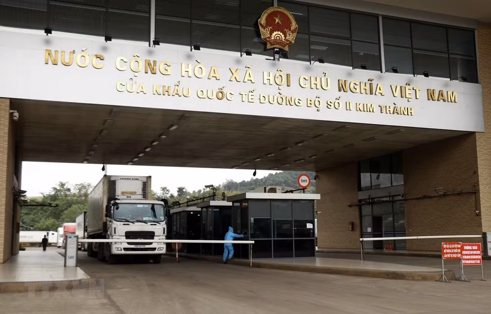 Содействовать экспорту товаров, не забывать о мерах по профилактике и борьбе с болезнями. ảnh 1 Содействовать экспорту товаров, не забывать о мерах по профилактике и борьбе с болезнями. ảnh 1