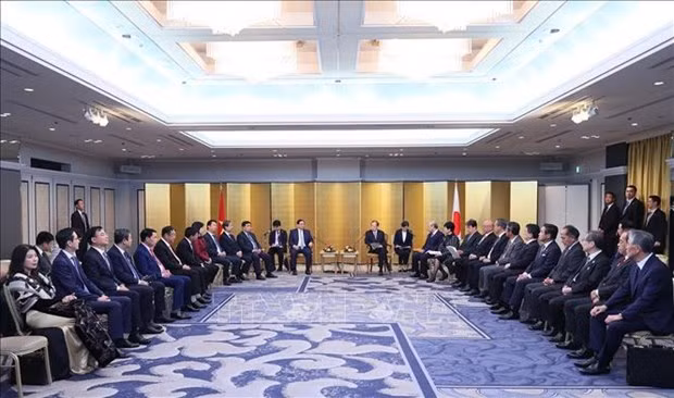 Премьер-министр Фам Минь Тьинь принял руководителей Альянса парламентариев японско-вьетнамской дружбы ảnh 2