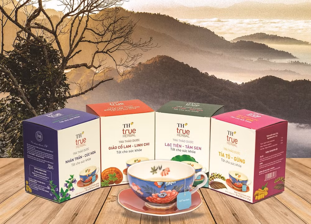 TH true HERBAL: Ключ от сокровищницы лекарственных трав Мыонглонг ảnh 7 TH true HERBAL: Ключ от сокровищницы лекарственных трав Мыонглонг ảnh 7