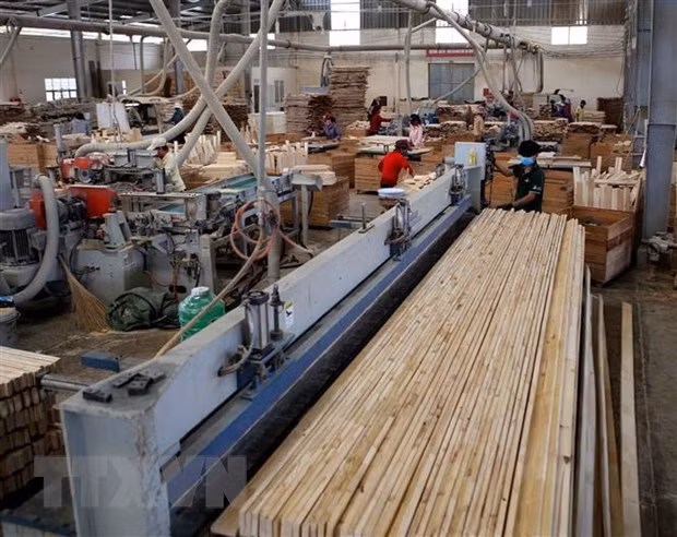 Лесной сектор планирует увеличить экспорт на 10% к 2020 году ảnh 1