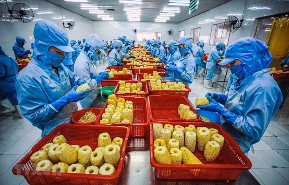Экспорт вьетнамской сельхозпродукции в Японию вырос ảnh 1