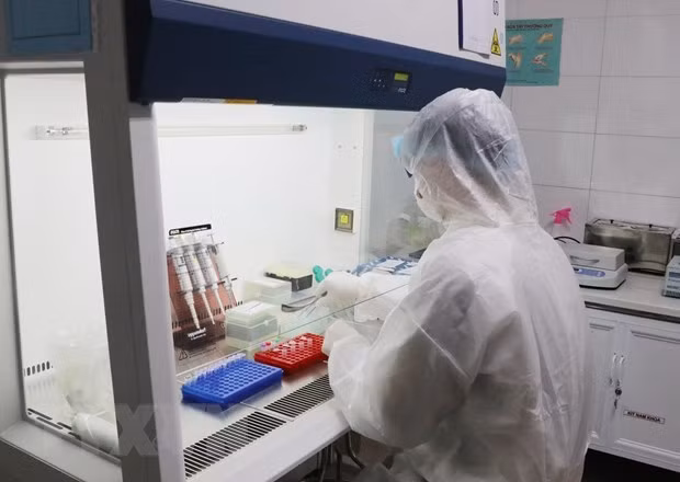Вьетнам успешно производит тест-системы на SARS-CoV-2 ảnh 1 Вьетнам успешно производит тест-системы на SARS-CoV-2 ảnh 1