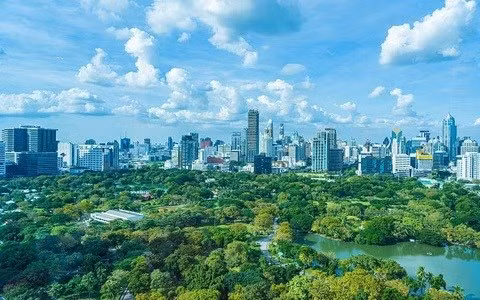 Деревообрабатывающая промышленность имеет возможности увеличить доходы от углеродных кредитов ảnh 2