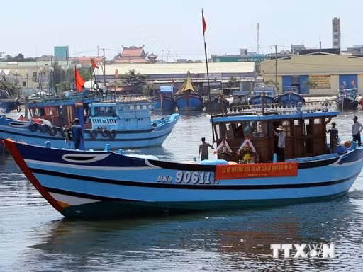Баклиеу прилагает все усилия для борьбы с незаконным промыслом ảnh 1 Баклиеу прилагает все усилия для борьбы с незаконным промыслом ảnh 1