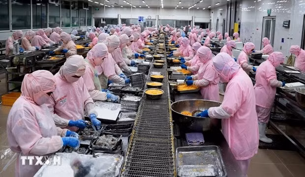 Экспорт рыбной продукции Вьетнама достиг почти 2 миллиардов долларов США ảnh 1