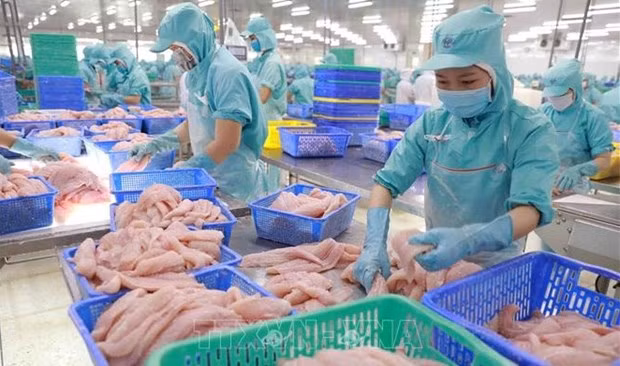 Экспорт водной продукции вырос на 34% за 10 месяцев ảnh 1 Экспорт водной продукции вырос на 34% за 10 месяцев ảnh 1