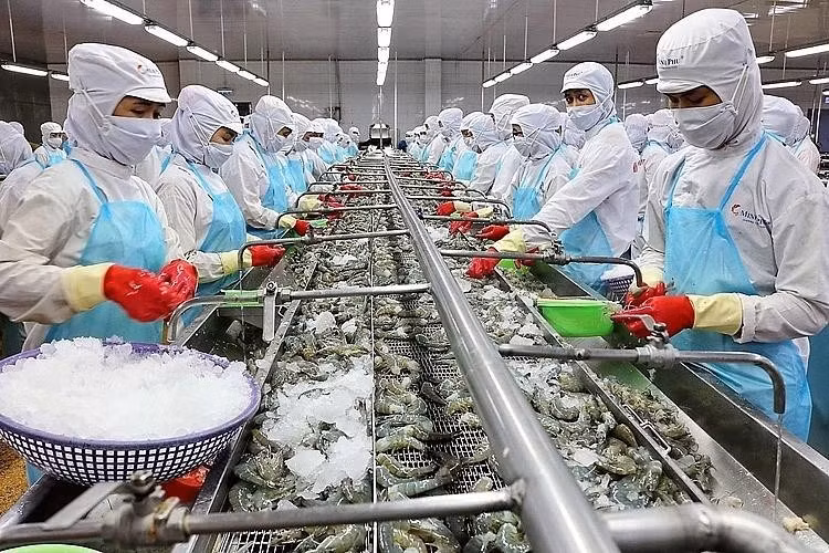 Экспорт водной продукции, вероятно, достигнет рекордного уровня в размере более 10 млрд. долл. США в 2022 году ảnh 1 Экспорт водной продукции, вероятно, достигнет рекордного уровня в размере более 10 млрд. долл. США в 2022 году ảnh 1