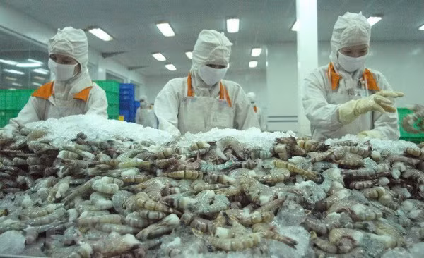 Экспорт продукции сельского, лесного и рыбного хозяйства вырос более чем на 13% за 8 месяцев ảnh 1