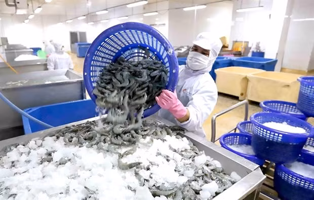Камау способствует экспорту морепродуктов в Великобританию ảnh 1